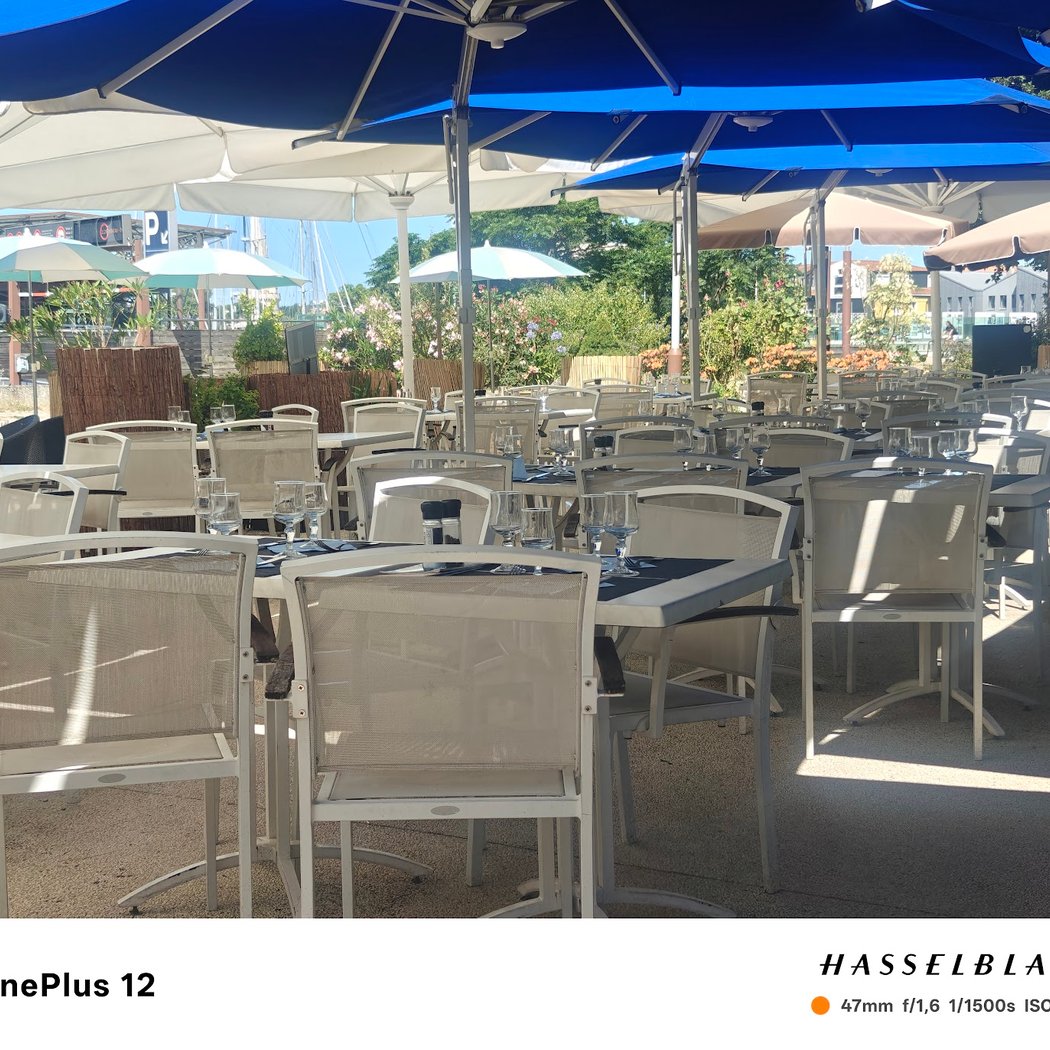 LA MARÉE, Restaurant de Poissons et Fruits de Mer 2